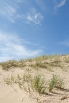 A sand dune on a sunny day with grasses against a bright blue sky with cloud.