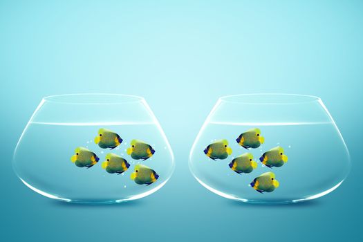 Two groups of angelfish in fishbowls looking to each other.