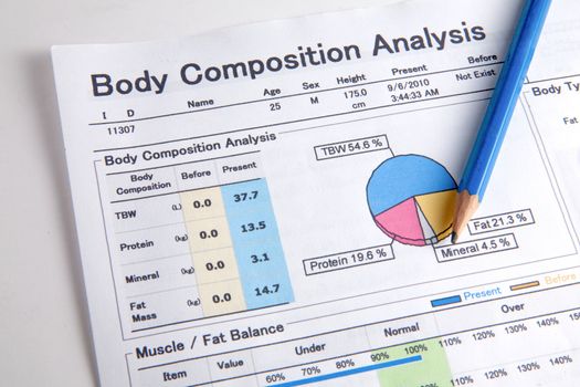 Analysis of body composition.