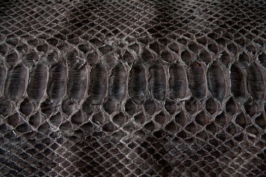 Texture of leather, black cobra.