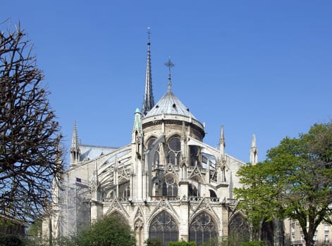Notre Dame de Paris, rear view  Paris France