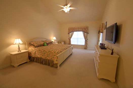 King Master Bedroom, an Interior Shot of a Home