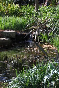 Water garden feature with flowing stream