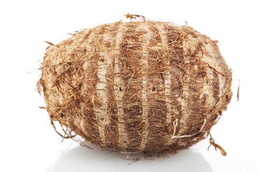 Eddoes vegetable thought to have been developed in China and/or Japan.  Similar to the Taro