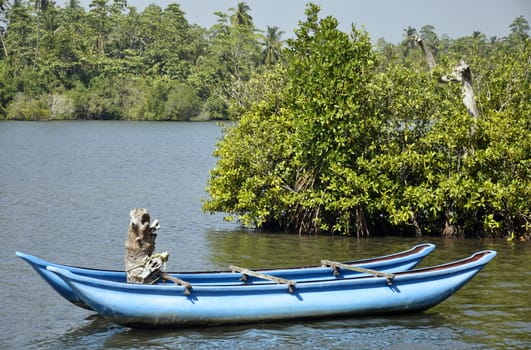 A bright blue boat beautifully stranded on a lake surrounded by palm trees in Sri Lanka