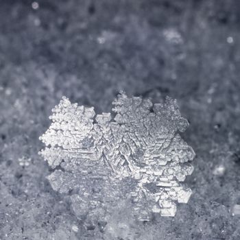 Close-up of filigrane ice crystals of real snow flake.