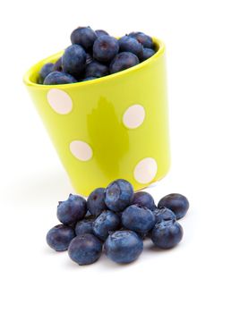 fresh blueberry in a green mug over a white background.
