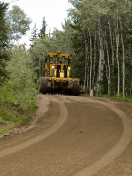 Large yellow grader resurfacing a narrow rural road through a poplar forest with fresh gravel