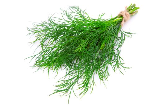 Fresh dill, Isolated on white background, with room for text