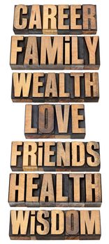 list or hierarchy of popular life values  - career, family, wealth, love, friends, health, wisdom - a collage of isolated words in vintage letterpress wood type