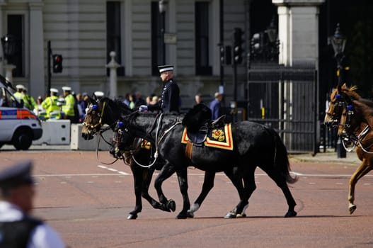 LONDON, UK - June 16: Trooping the Colour ceremony on the Mall and at Buckingham Palace, on June 16, 2012 in London. Trooping the Colour takes place every year in June to officialy celebrate the sovereign birthday.