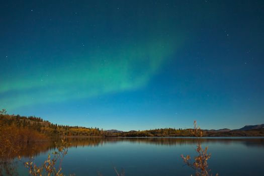 Northern lights (Aurora borealis) in moonlit night over Lake Laberge, Yukon, Canada, in fall.