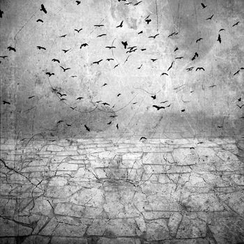 ground cracked, birds in the sky