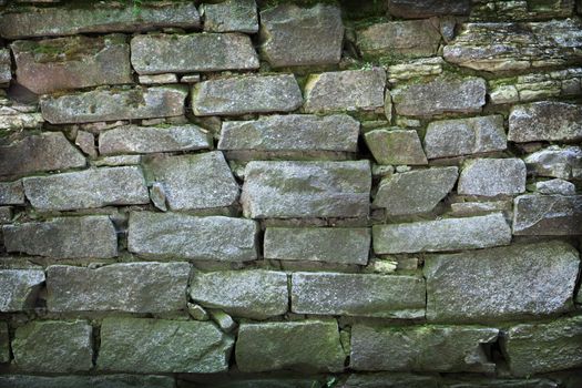 Masonry, green with moisture - the background