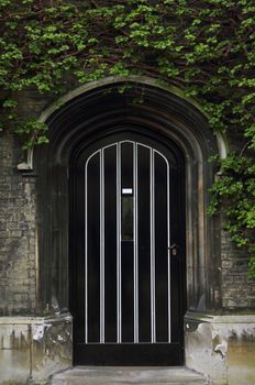 Typical old English door with green ivy above the entrance.