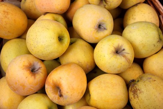 Golden natural looking apples on a sunday market in Italy, Tuscany. 