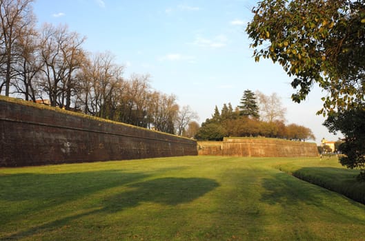 Warm sunlight shot of the old city wall of Lucca in Italy. 