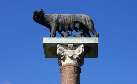 The Capitoline Wolf statue on piazza di Miracoli in Pisa, Italy.