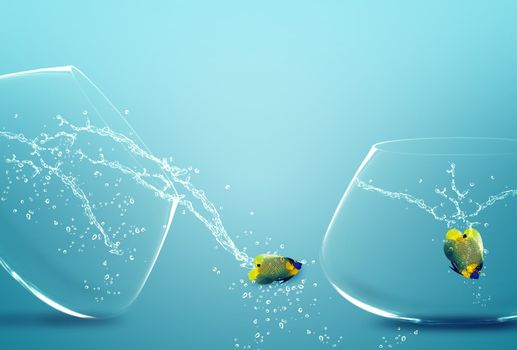 Two angelfish jumping out of fishbowl to new one, one failed one win.