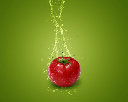 Fresh red tomato with water splashes on green background.