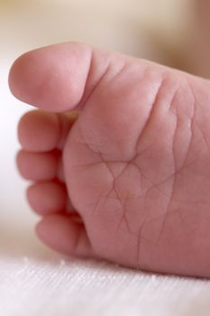 baby's foot