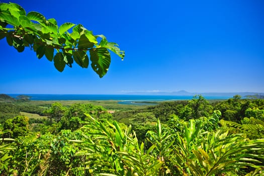 Tropical coastline with a view to the ocean across dense lush green vegetation on a sunny summer day