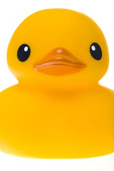 rubber duck