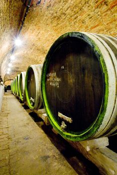 wine cellar, Jaroslavice, Czech Republic