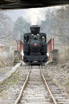 last day of service of CKD steam locomotive n. 5 (1.4.2008), Ciernohronska Railway, Slovakia