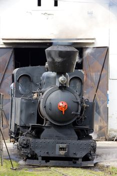 last day of service of CKD steam locomotive n. 5 (1.4.2008), Ciernohronska Railway, Slovakia