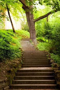 stone stairs on sunlight in the park 