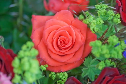 Bunch of flowers with roses