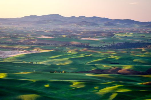 Rolling hills and the Palouse range, seen from Steptoe Butte State Park, Washington, USA
