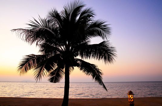 Coconut palm tree silhouetted against sky and sea at sunrise