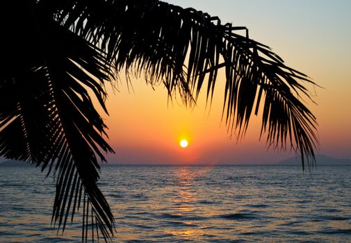 Coconut palm tree silhouetted against sky and sea at sunrise