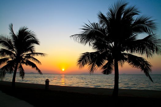 Coconut palm trees silhouetted against sky and sea at sunrise