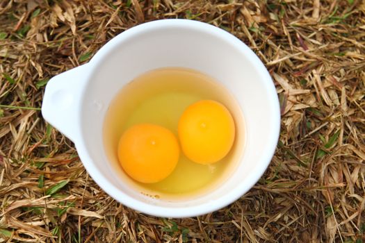 eggs prepared for cook