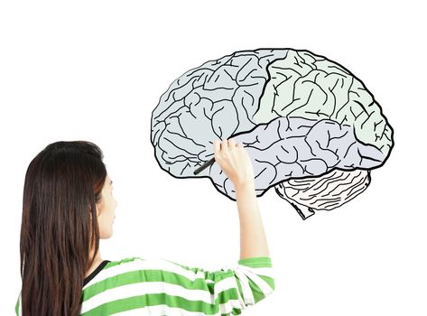 woman drawing human brain diagram