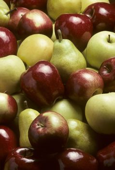 Pile of mixed pommefruit including a variety of apples and Bartlet pears