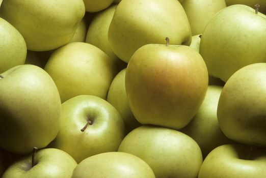 Pile of yellow Golden Delicious apples