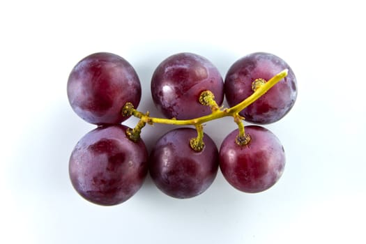 grape fruit isolated on white background
