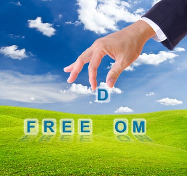 business man hand made freedom word buttons on green grass meadow
