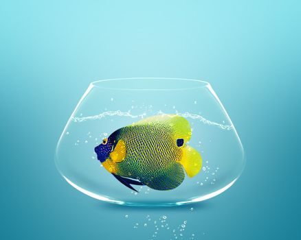 angelfish in small bowl and looking for something better.