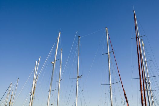 Navy Poles towards blue sky