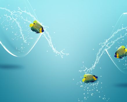 Two angelfish jumping out of fishbowl to new one, one failed one win.