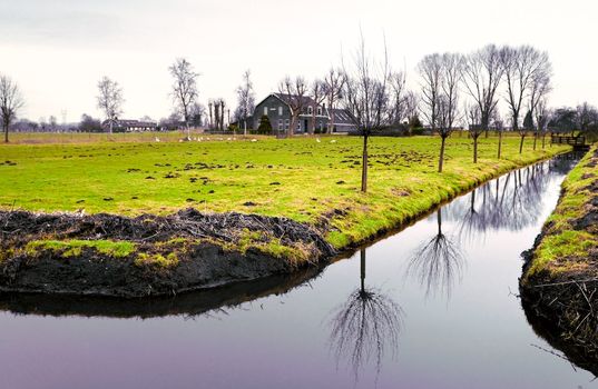 view on typical Dutch farm with channel