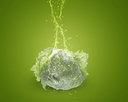 Fresh lettuce with water splashes on green background.