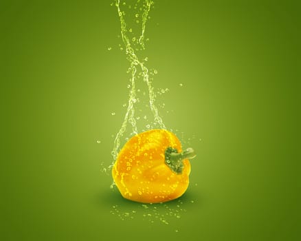 Fresh yellow bell pepper with water splashes on green background.