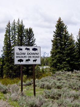 Wildlife warning sign in Grand Teton National Park