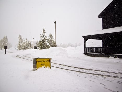 April snowstorm in Yellowstone limits transportation to snowcoaches